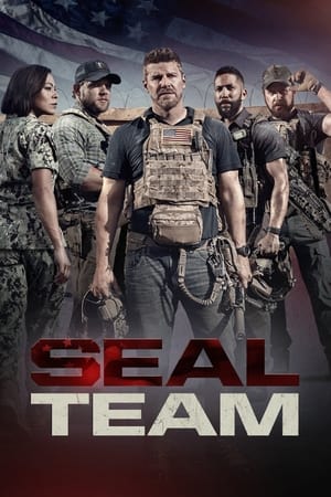 donde ver seal team