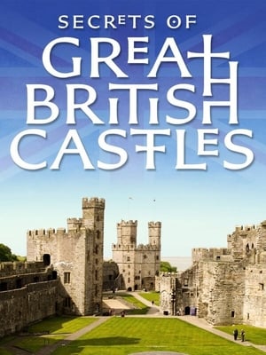 donde ver secrets of great british castles