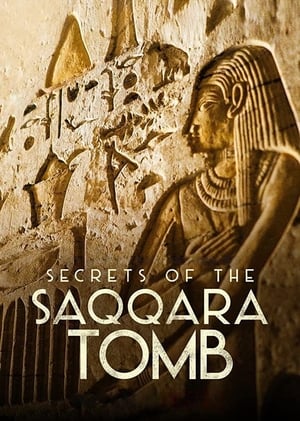 donde ver secrets of the saqqara tomb