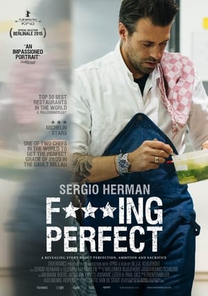 donde ver sergio herman: jodidamente perfecto