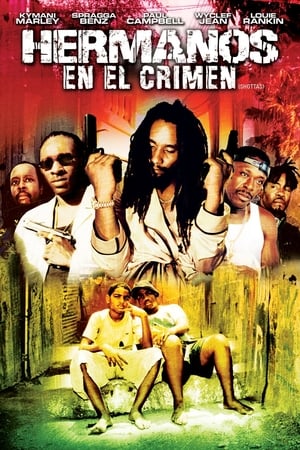 donde ver shottas