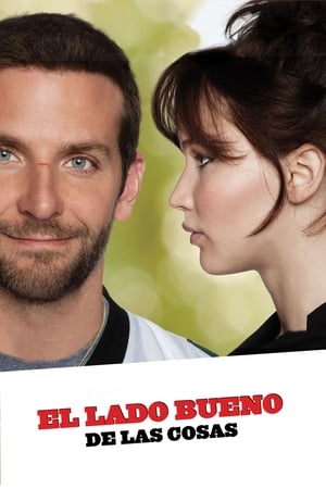 donde ver silver linings playbook