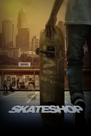 donde ver skateshop