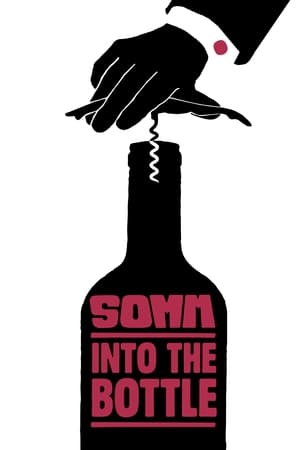 donde ver somm: into the bottle