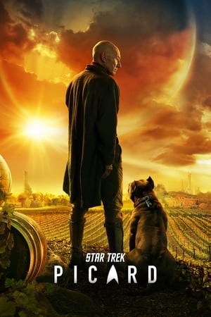 donde ver star trek: picard