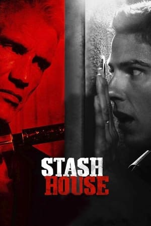 donde ver stash house