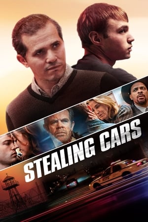 donde ver stealing cars