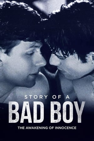 donde ver story of a bad boys