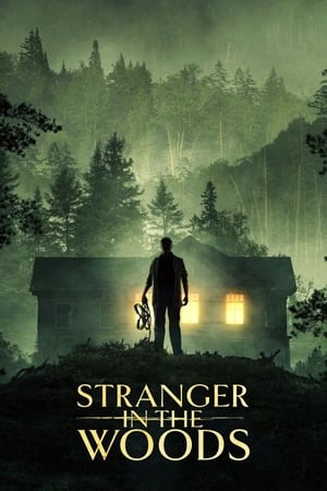 donde ver stranger in the woods