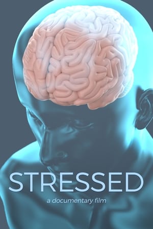 donde ver stressed