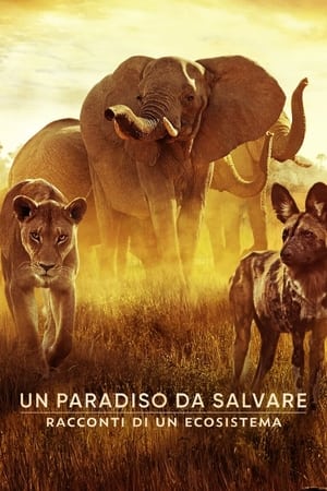 donde ver surviving paradise: a family tale