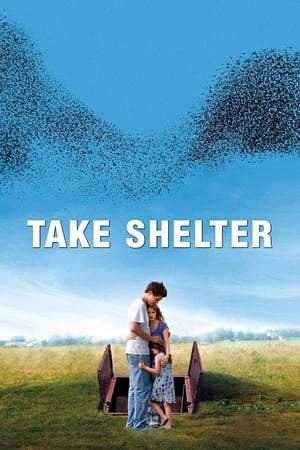 donde ver take shelter