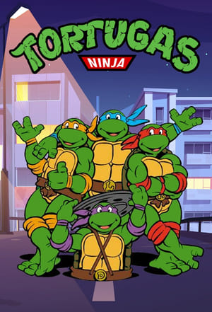 donde ver teenage mutant ninja turtles