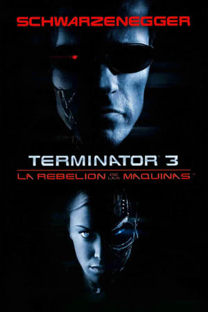 donde ver terminator 3: rise of the machines
