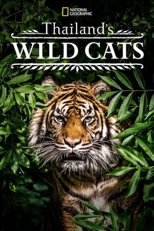 donde ver thailand's wild cats