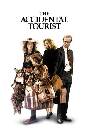 donde ver the accidental tourist
