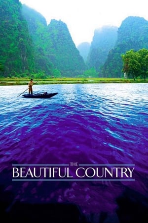 donde ver the beautiful country