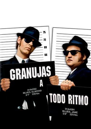 donde ver the blues brothers