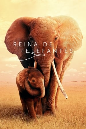 donde ver the elephant queen