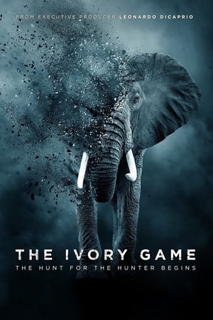 donde ver the ivory game