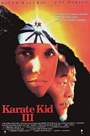 donde ver the karate kid part iii
