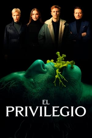 donde ver the privilege