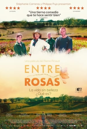 donde ver the rose maker