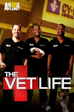 donde ver the vet life