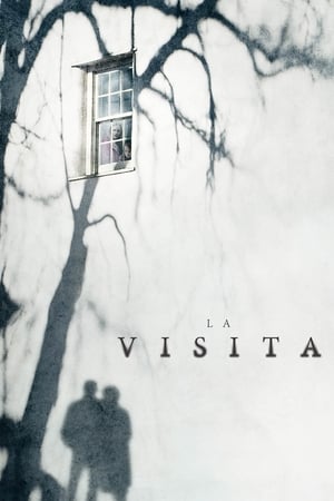 donde ver the visit