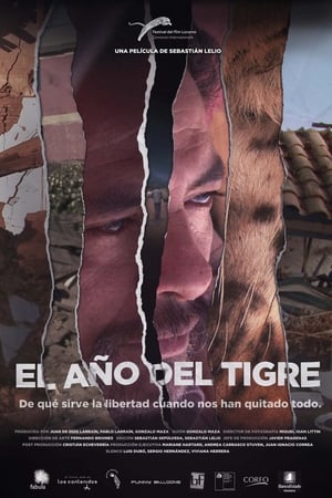 donde ver the year of the tiger