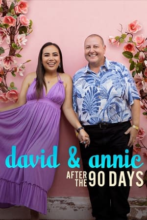 donde ver todo en 90 días: el después de david y annie