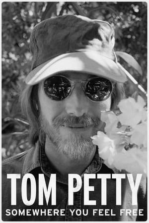 donde ver tom petty: somewhere you feel free - the making of wildflowers
