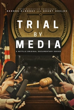 donde ver trial by media