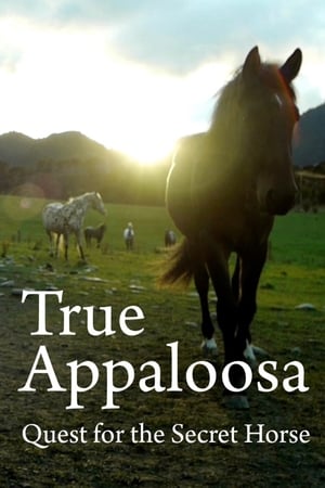 donde ver true appaloosa