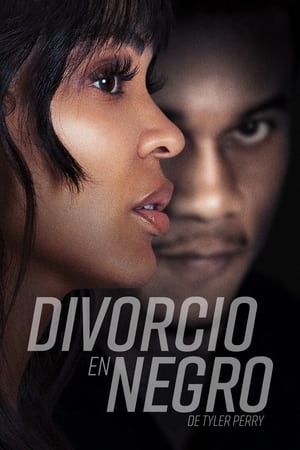 donde ver tyler perry's divorce in the black