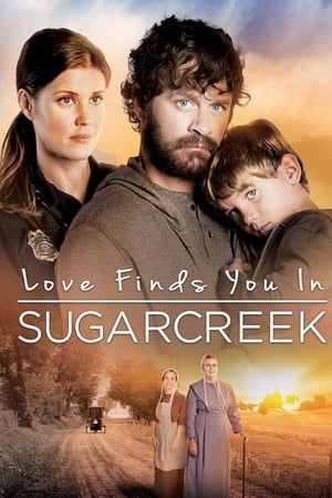 donde ver love finds you in sugarcreek