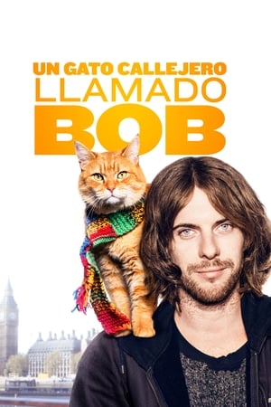 donde ver a street cat named bob