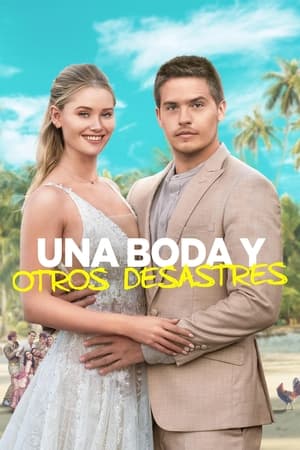 donde ver una boda y otros desastres