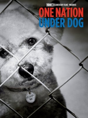 donde ver one nation under dog: stories of fear, loss & betrayal