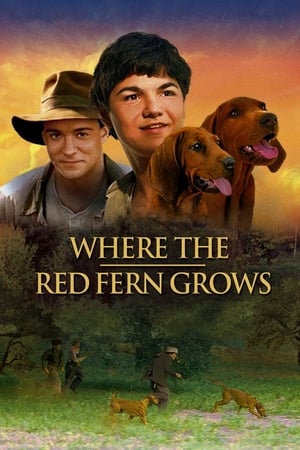 donde ver where the red fern grows