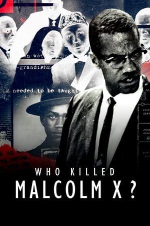 donde ver who killed malcolm x?