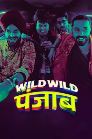 donde ver wild wild punjab