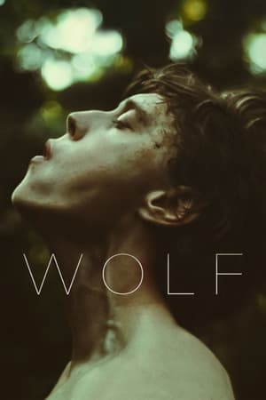 donde ver wolf